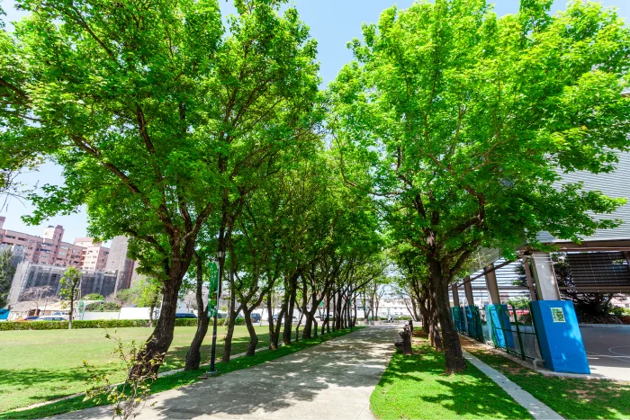 新豐野戰公園